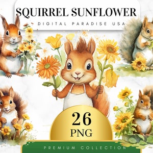 May include: A set of 26 digital illustrations featuring cute squirrels and sunflowers. The squirrels are depicted in various poses, holding sunflowers or standing amongst them. The illustrations are in a watercolor style and have a whimsical feel.