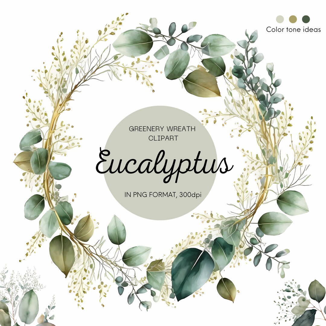 Eucalyptus Clipart Eucalyptus Wreath Greenery Clipart Eucalyptus Gold ...