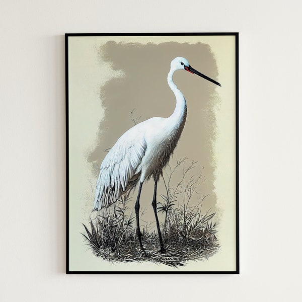 Sandhill Crane Printable Etsy Sandhill Crane Printable Etsy