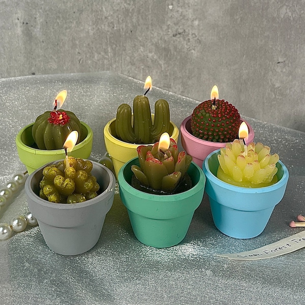 Cactus Tealight Candles Kit with Terracotta clay candle holders 6pcs-18pcs, 2023 NEW