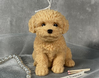 Cute Puppy Shaped Candle, Teddy Dog Candle, Poodle Candle, Cute Bichon Candle, Puppy Candle, Pet Lovers, Dog Lovers, Home Decor