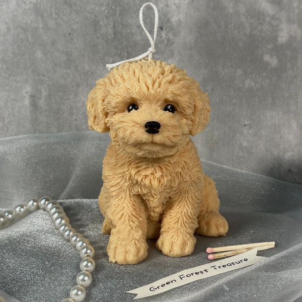 Cute Puppy Shaped Candle, Teddy Dog Candle, Poodle Candle, Cute Bichon Candle, Puppy Candle, Pet Lovers, Dog Lovers, Home Decor