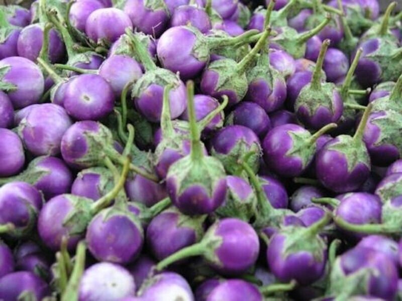 Organic Non-GMO Eggplant Seeds – Mix Of White, Purple, Round, Long & Thai Varieties