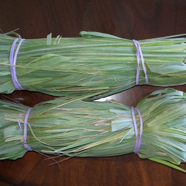 8 oz  Fresh Organic Garden Edible Lemon Grass Leaves Tea Green Cut, in Florida