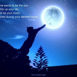 Cat Moon Quote Postcard / Imprimible