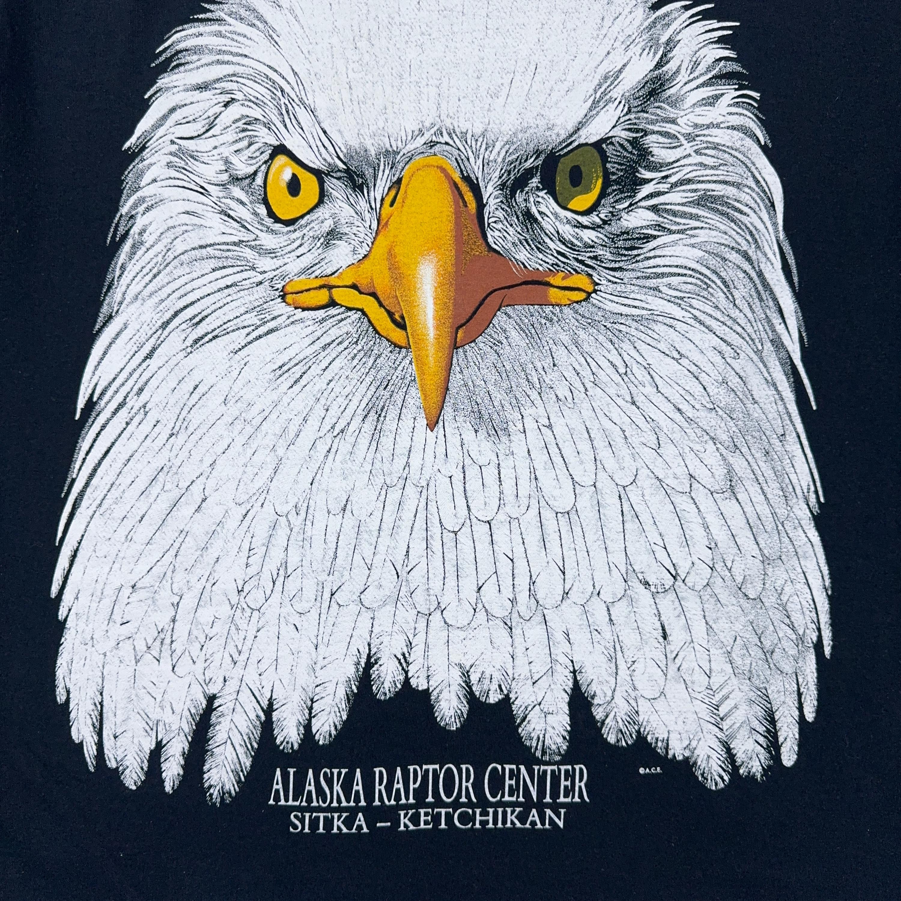 Eagle Graphic T-shirt - I AM Smiling! Alaska Souvenir, 2000s Y2K 
