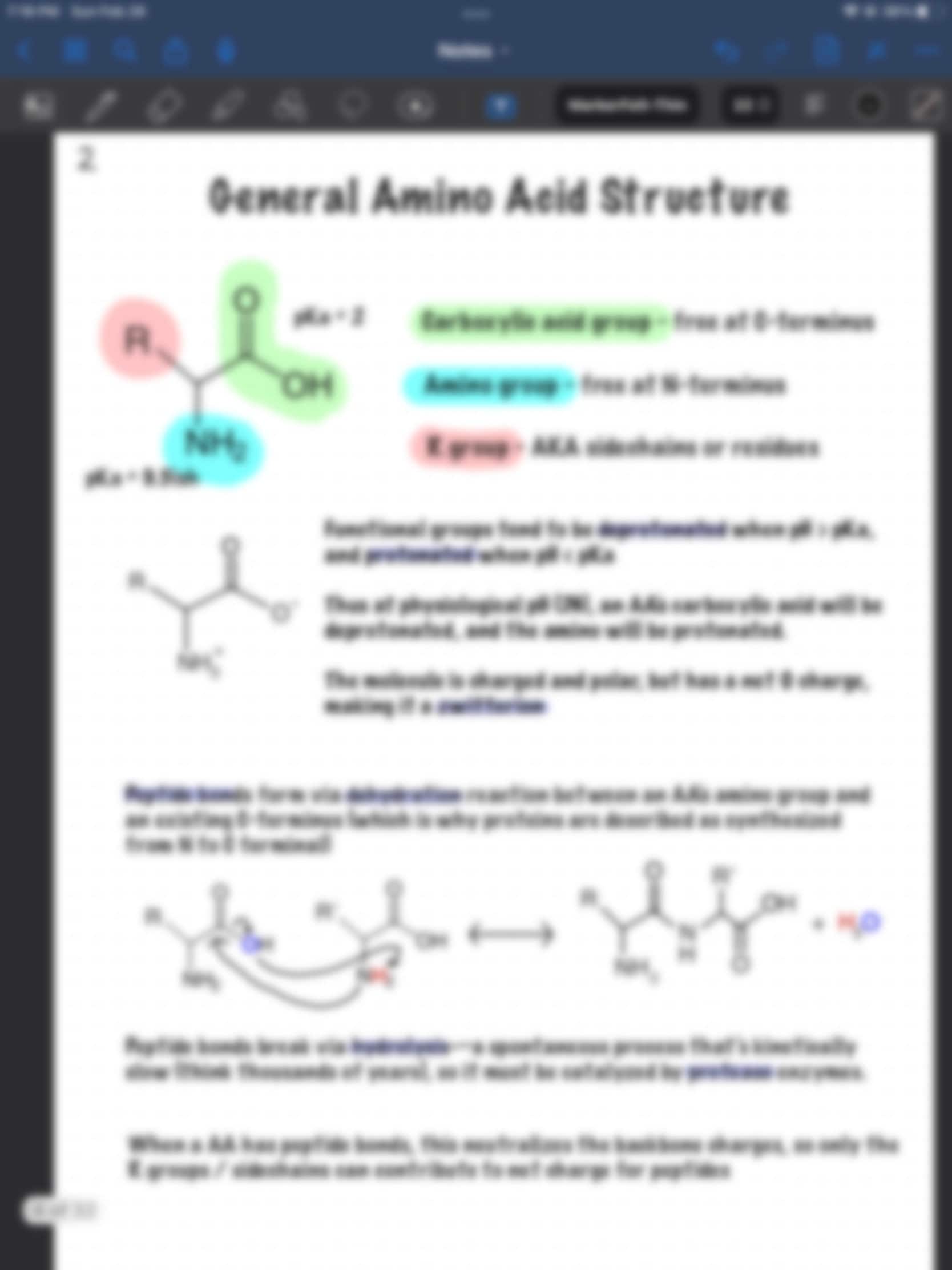Ultimate MCAT Amino Acid Study Guide Practice Pages, Mnemonics, Study