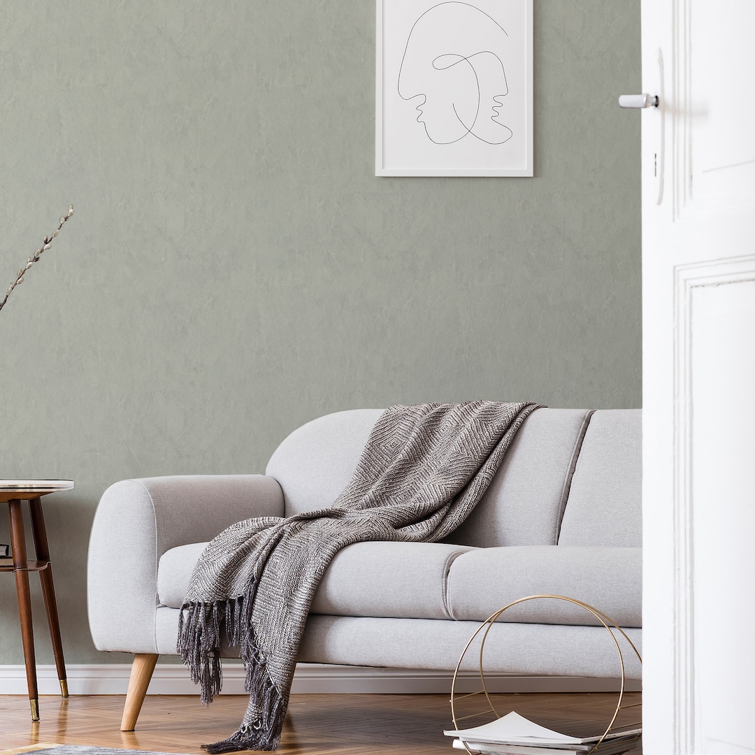 Limewash Wall Mural Limewash Wallpaper Limewash Peel and Stick