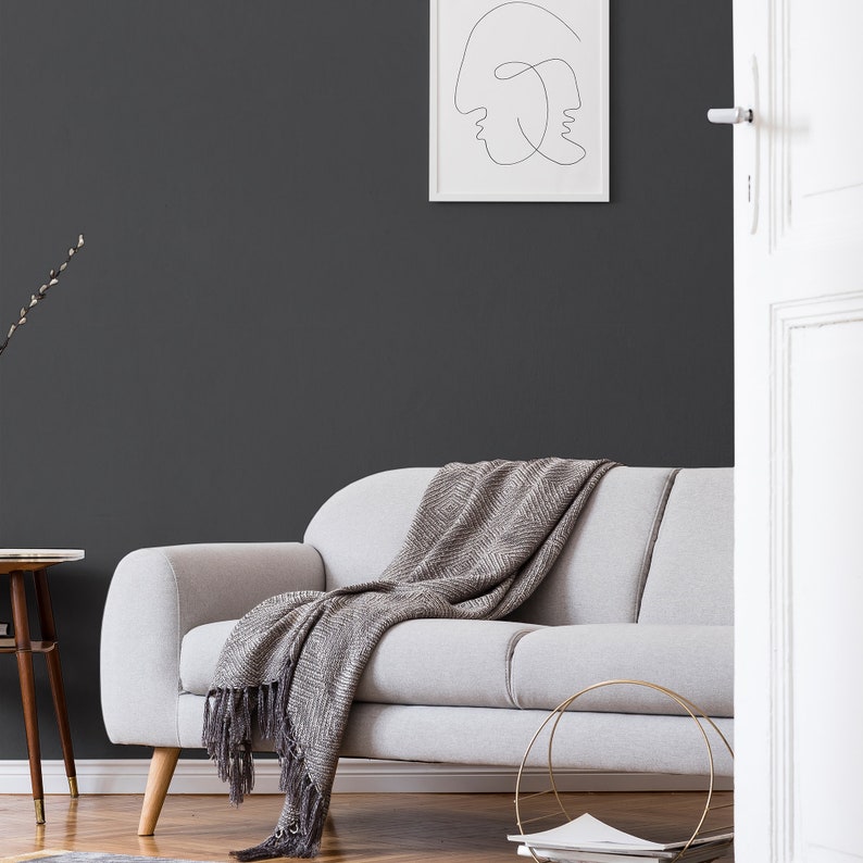 Charcoal Black Wallpaper Limewash Peel and Stick Wallpaper Etsy