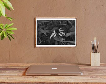 Digital Print Flower Photography Wall Art