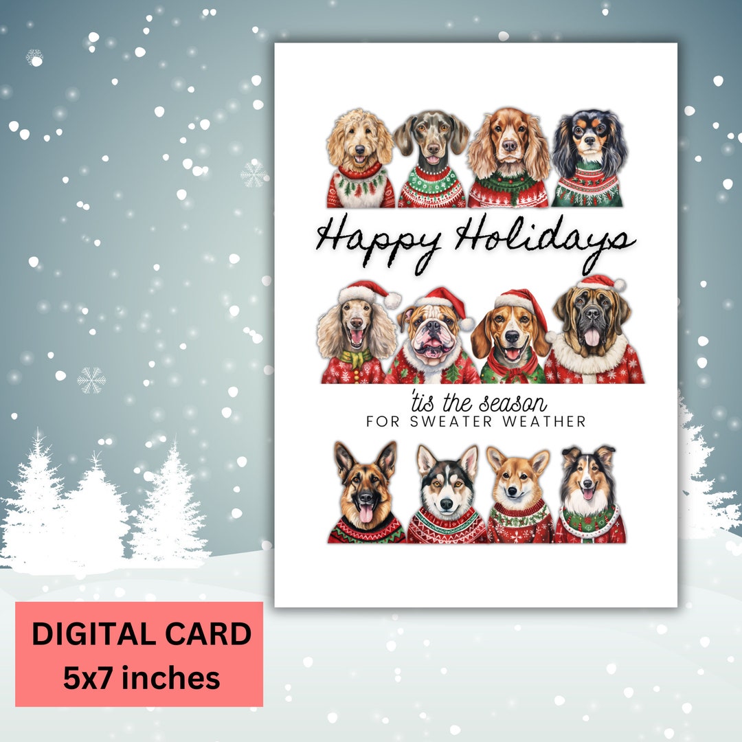 Dog in A Sweater Cute Dog Christmas Card Dog Holiday Card Etsy
