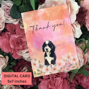 Carte de voeux de remerciement, carte de correspondance vierge aquarelle florale Bernedoodle, carte de remerciement, cadeau pour elle, cadeau pour maman chien, chiot Doodle