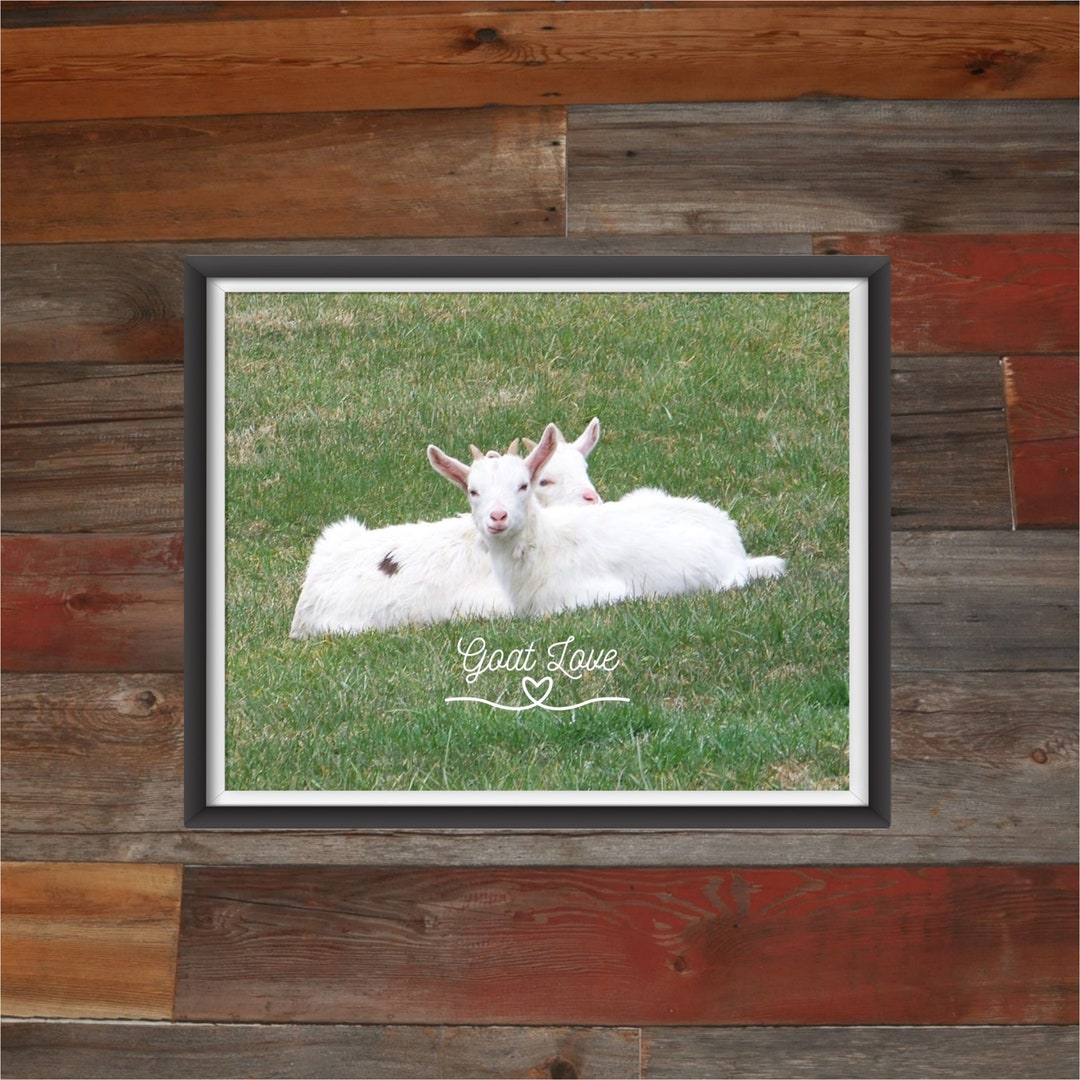 Goat Love Wall Hanging/two Cute Baby Goats Decor/country Etsy