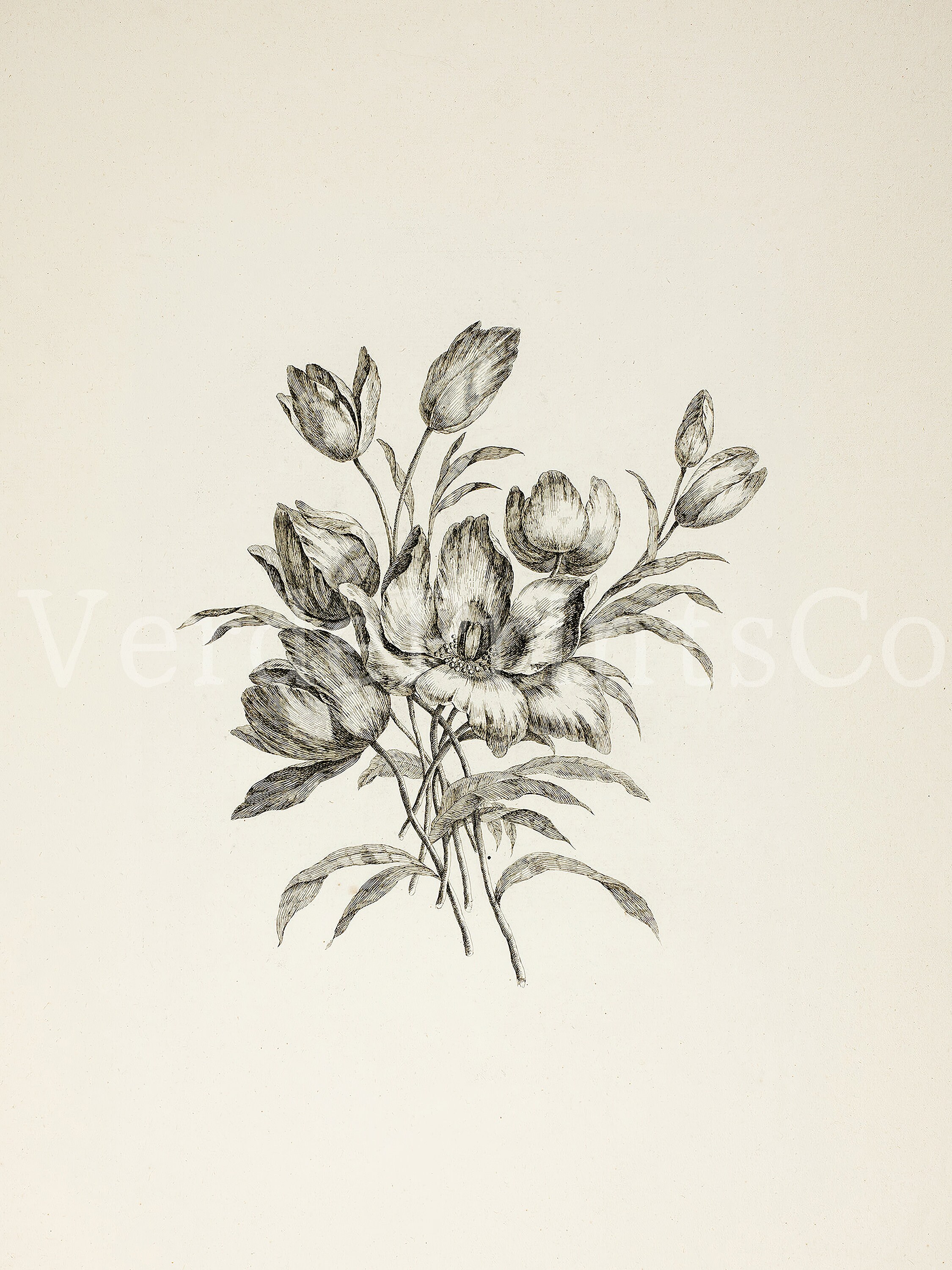 Vintage Sketch Lillies Printable Downloadable File SK038 - Etsy