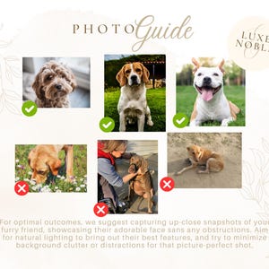 Op de afbeelding: Een fotogids met voorbeelden van hondenportretten. De afbeelding toont verschillende hondenrassen met vinkjes en kruizen, samen met de tekst "PHOTO Guide" en "LUXE NOBLE". De gids geeft tips voor de beste foto's van huisdieren.