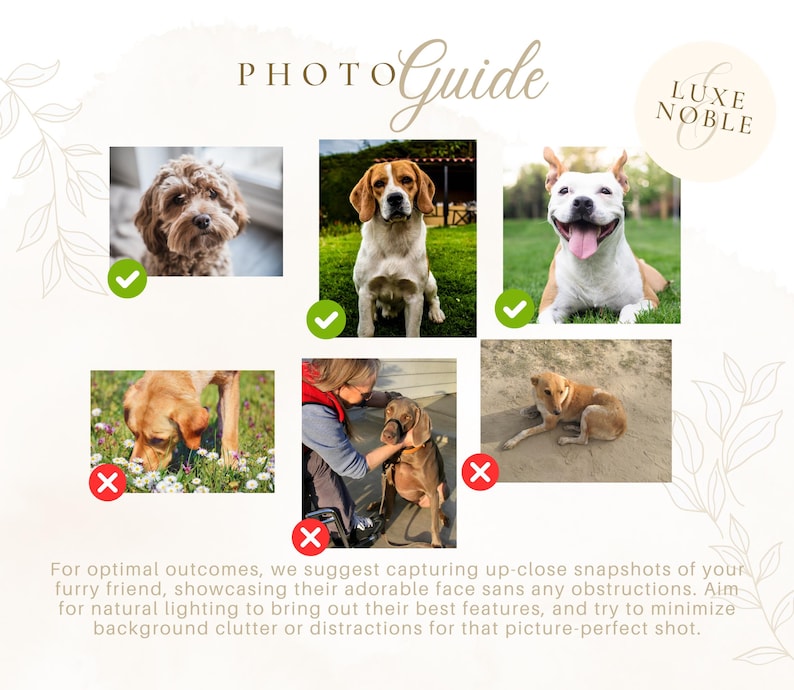 Op de afbeelding: Een fotogids met voorbeelden van hondenportretten. De afbeelding toont verschillende hondenrassen met vinkjes en kruizen, samen met de tekst "PHOTO Guide" en "LUXE NOBLE". De gids geeft tips voor de beste foto's van huisdieren.