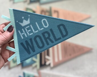 Felt Pennant Flag Milestone Set: Newborn Photo Prop