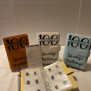 100 Envelope Savings Challenge