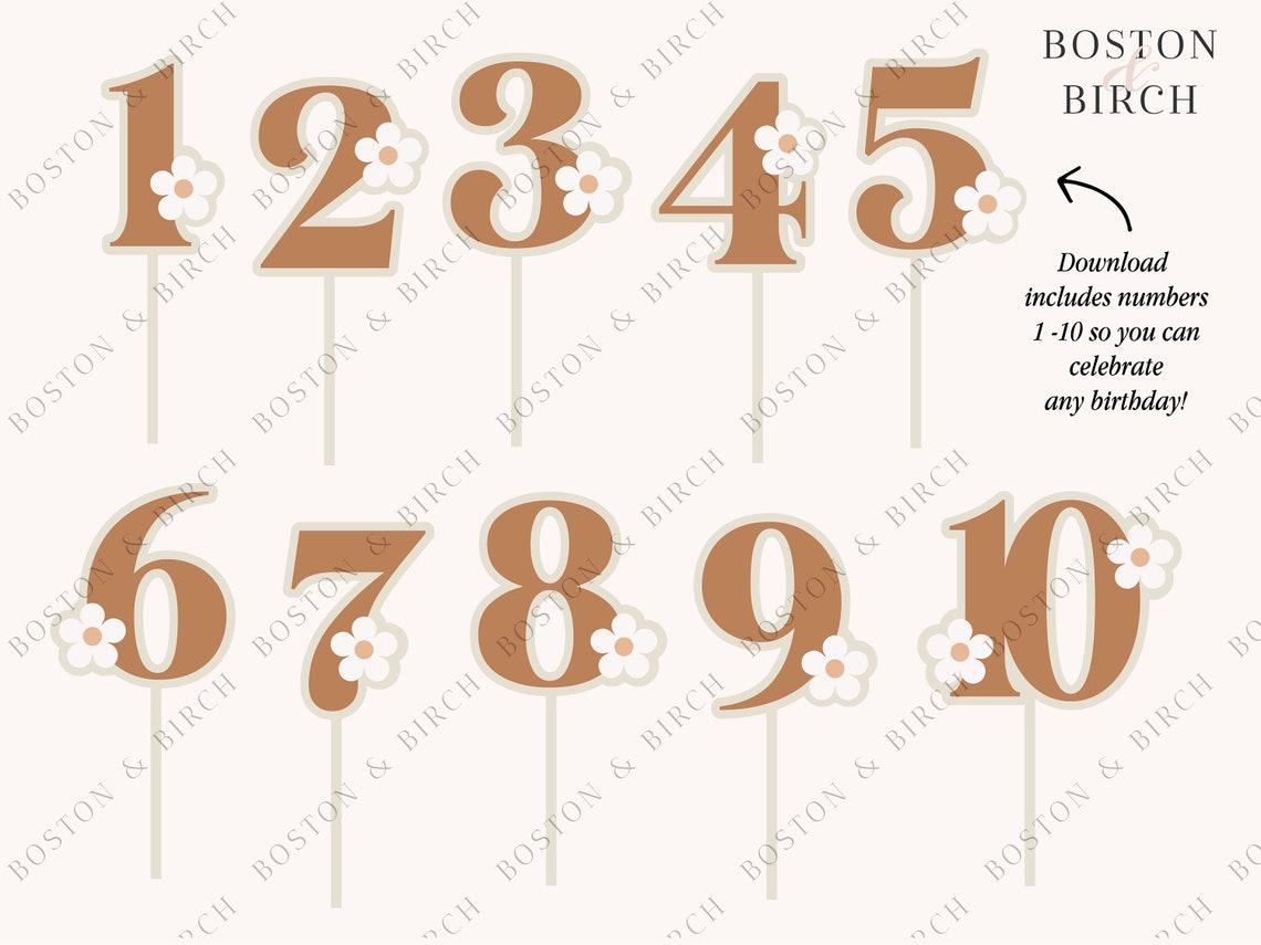 Daisy Cake Topper Boho Birthday Decor Retro Cake Toppers Girl Birthday