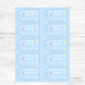 Adopt a Floppy Bluey Inspired This Floppy Belongs To: Tags *Digital File*