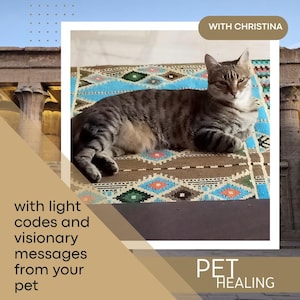 Può includere: Un gatto tabby grigio e marrone che riposa su un tappeto fantasia con disegni geometrici blu, marroni e verdi. L'immagine include il testo "With Christina" e "Pet Healing", insieme a testo aggiuntivo sui codici di luce e messaggi visionari.