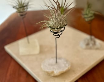 Quartz and Selenite Air Plant Holders