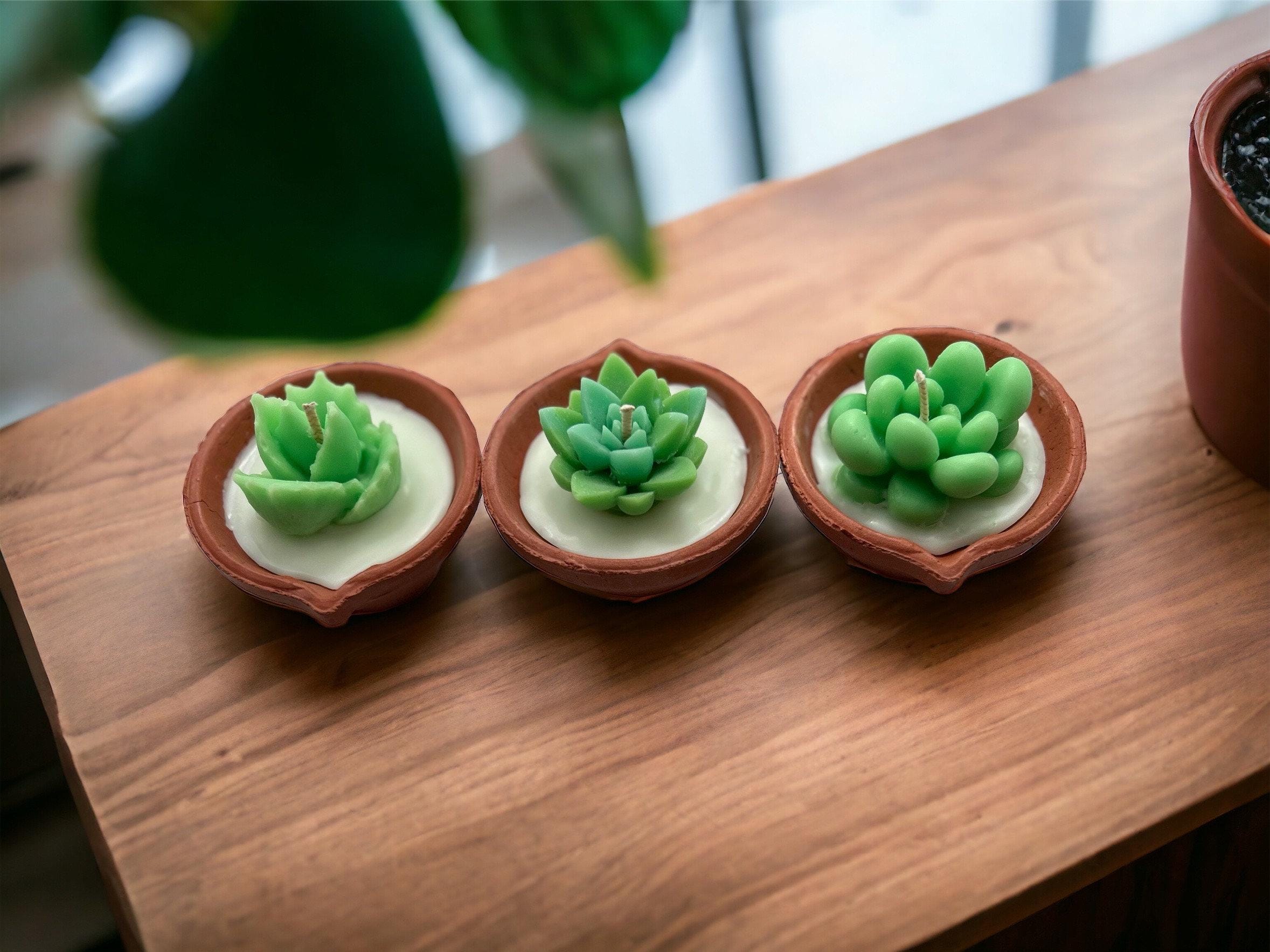 Succulent Tea Light Candles Set of 3, Terracotta Mini Cactus Candles, Perfect Housewarming Gift, Unique Bridal Shower Favor, Succulent Decor