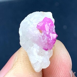 May include: A raw, uncut gemstone featuring a vibrant pink crystal formation embedded in a white, rough matrix. The pink crystal has a crystalline structure. The stone is held between two fingers against a dark blue background.