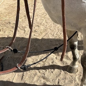 The Longe Line Lady Training Fork