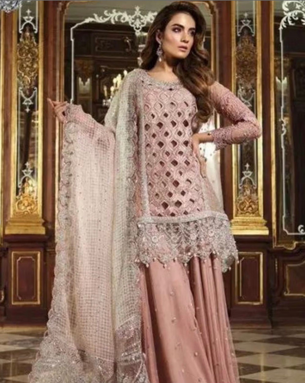 Pakistani Indian Wedding Dresses Party Wear Designer Dress Eid Dress ...