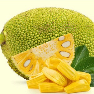 Fresh Honey Jackfruit 2 Seeds