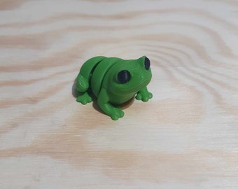 Tiny Frog Fidget Toy 3D Printed Kids