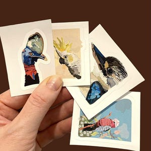 Australische Vögel Aufkleber (4) | Handgefertigte Illustrationen | Galah, Kakadu, Kasuar & Kookaburra