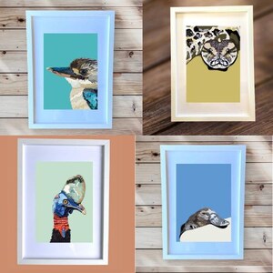 May include: Four framed illustrations of Australian animals. The top left frame shows a kookaburra with a blue and white body against a turquoise background. The top right frame shows a python with a green and brown body against a yellow background. The bottom left frame shows a cassowary with a blue, red, and black head and neck against a green background. The bottom right frame shows a platypus with a brown body against a blue background.