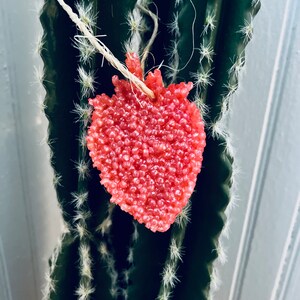 Strawberry Car Freshie | Summertime | Fruit