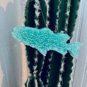 Fish Car Freshie | Fishing | Sports | Outdoors | Western