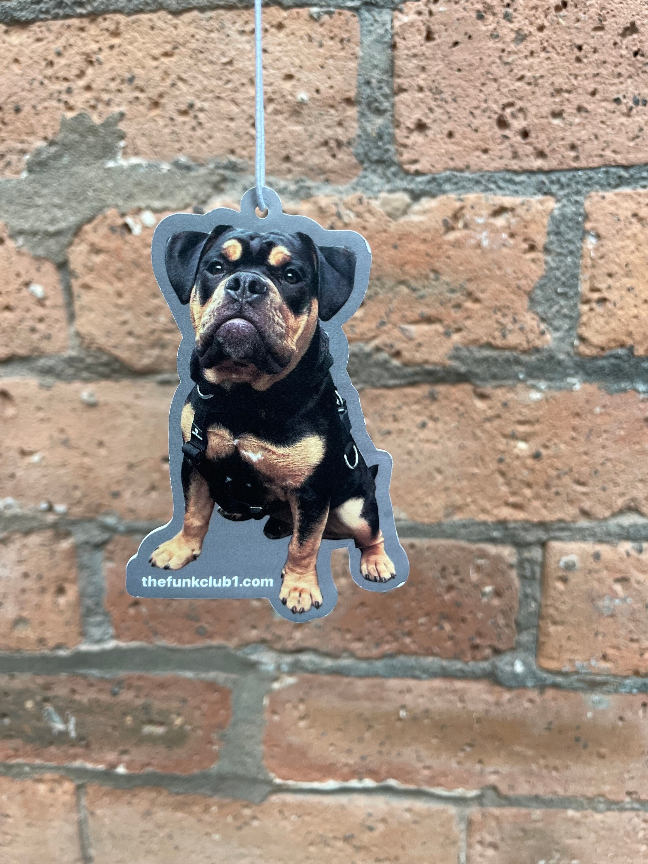DOG Air Freshener / Car Air Freshener / Dog Lover Gift / Pet Etsy UK