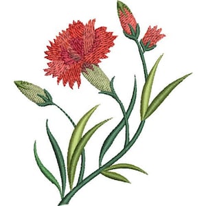 Könnte beinhalten: Eine einzelne rote Nelke mit grünen Blättern und Knospen. Die Blume ist in voller Blüte und hat ein zartes, gekräuseltes Aussehen.