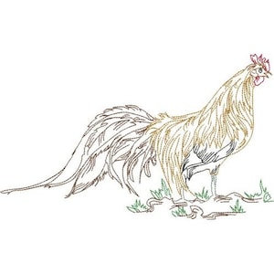 Long Tailed Rooster - Machine Embroidery Design, Country Rooster Embroidery Pattern, Cockerel Embroidery Design, Chicken Embroidery Design