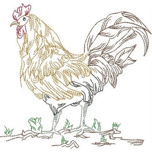 Standing Rooster - Machine Embroidery Design, Country Rooster Embroidery Pattern, Cockerel Embroidery Design, Chicken Embroidery Design