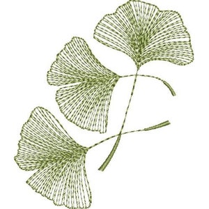 May include: A stylised illustration of three green ginkgo leaves with a delicate, intricate line design.