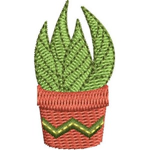 Puede incluir: Una planta suculenta verde en una maceta de terracota con estampado rojo y amarillo.