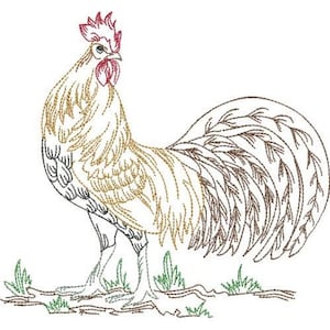 Magnificent Rooster - Machine Embroidery Design, Country Rooster Embroidery Pattern, Cockerel Embroidery Design, Chicken Embroidery Design