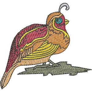 Colorful Quail - Machine Embroidery Design, Quail Embroidery Pattern, Colorful Bird Embroidery Design