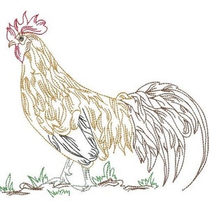 Elegant Rooster - Machine Embroidery Design, Country Rooster Embroidery Pattern, Cockerel Embroidery Design, Chicken Embroidery Design
