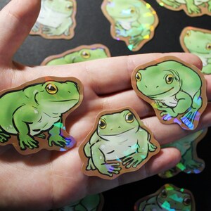 Holografiska klistermärken med White's Dumpy Tree Frog (5 cm)