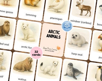 32 Arctic Animals Flashcards | Montessori 3-Part Cards | Wildlife for Kids | Picture, Label and Control Cards | Digital Download