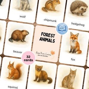 Könnte beinhalten: Ein Set von 32 Karten mit Aquarellillustrationen von Waldtieren. Die Karten zeigen Bilder von Stinktier, Wolf, Chipmunk, Waschbär, Biber, Fuchs und Eichhörnchen. Die zentrale Karte trägt die Aufschrift "FOREST ANIMALS".