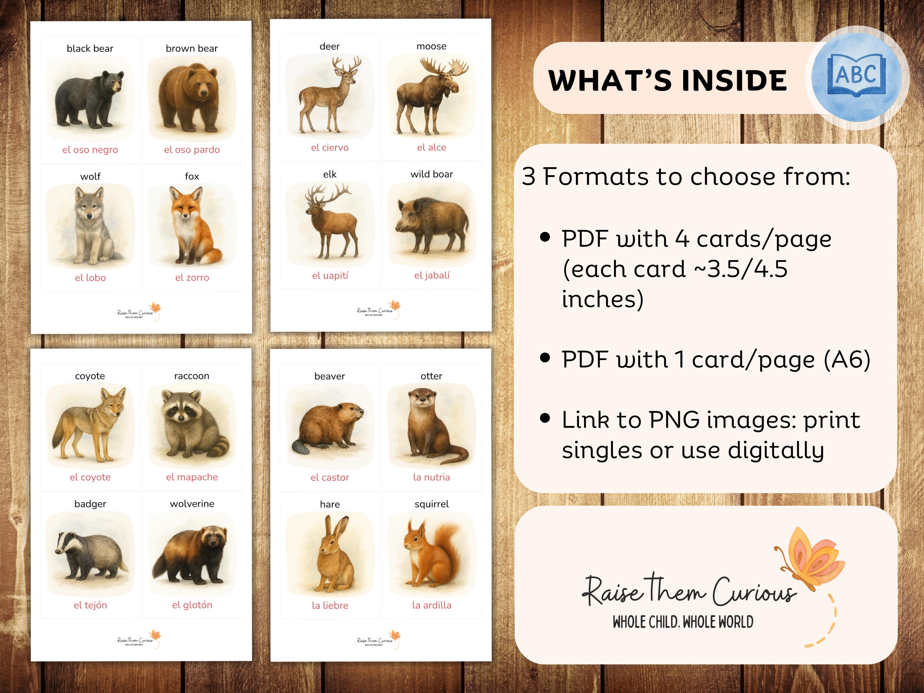 32 Bilingual Forest Animals Flashcards | English - Spanish | Woodland ...