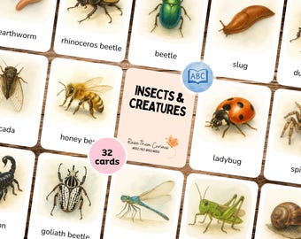 32 Insects & Creatures Flashcards | Montessori 3-Part Cards | Wildlife for Kids | Picture, Label and Control Cards | Digital Download
